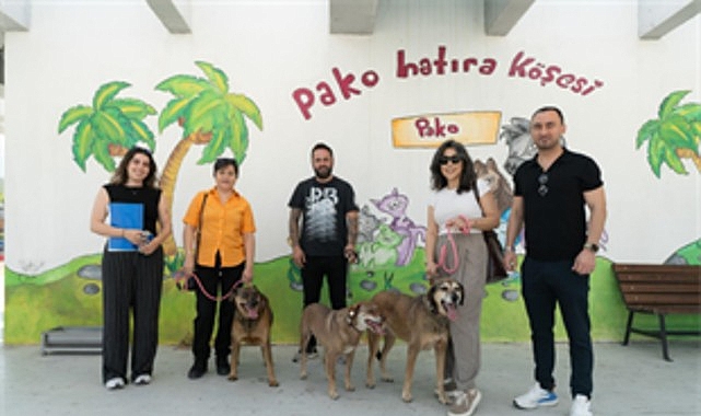 Patili Dostlar İş Başında: Şeker, Tarçın ve Salça Yeniden Yanında