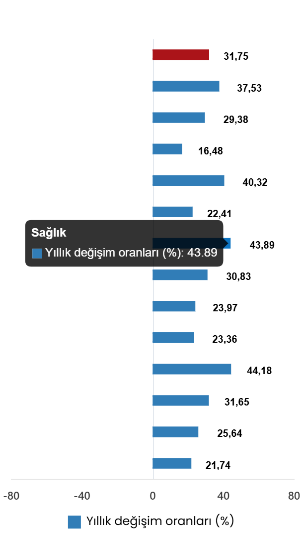 TÜFE Verileri Temmuz 2026: Aylık ve Yıllık Değişimler, Ana Harcama Grupları ve Özel Kapsamlı Göstergeler