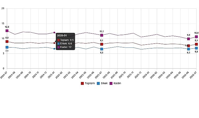 Türkiye İşgücü Verileri Temmuz 2026: Mevsimsel Düzeyde İstihdam ve İşsizlik Göstergeleri
