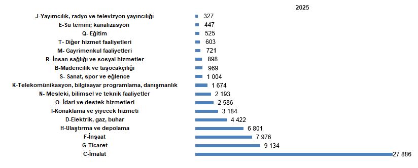 Türkiye İstatistiklerinde 2025 Girişim, Üretim ve Ciro Dağılımları: Hizmet ve Sanayi Analizi