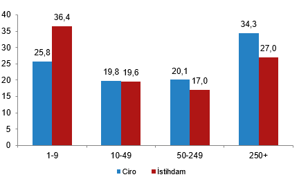 Türkiye İstatistiklerinde 2025 Girişim, Üretim ve Ciro Dağılımları: Hizmet ve Sanayi Analizi