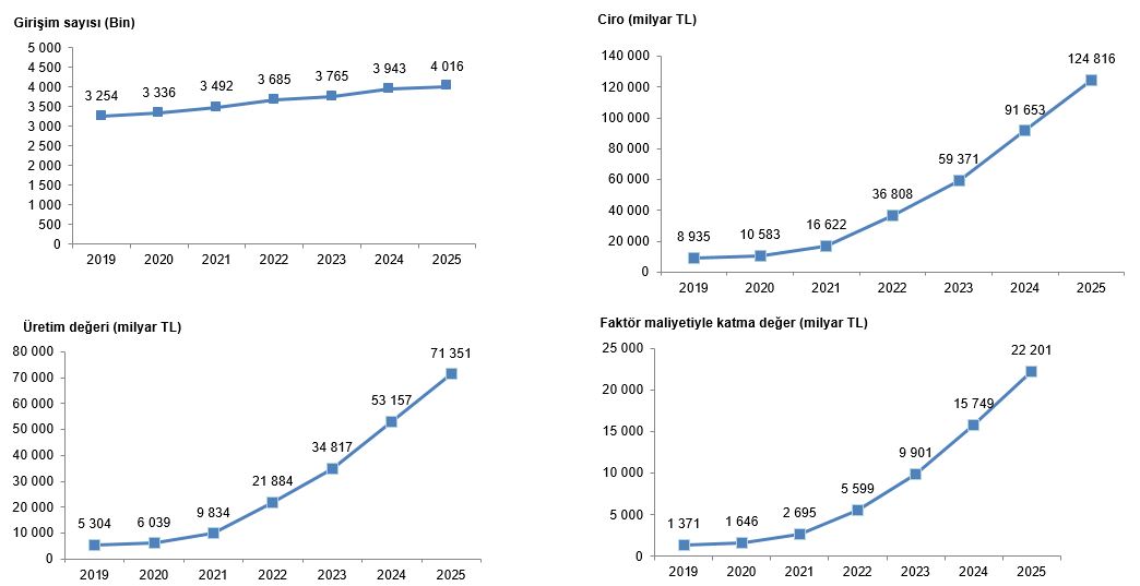 Türkiye İstatistiklerinde 2025 Girişim, Üretim ve Ciro Dağılımları: Hizmet ve Sanayi Analizi