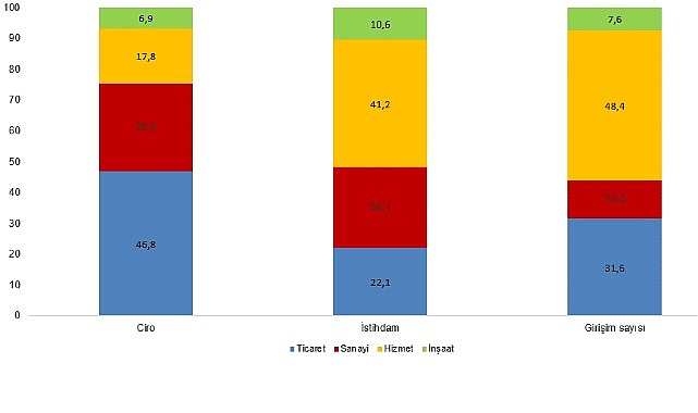 Türkiye İstatistiklerinde 2025 Girişim, Üretim ve Ciro Dağılımları: Hizmet ve Sanayi Analizi