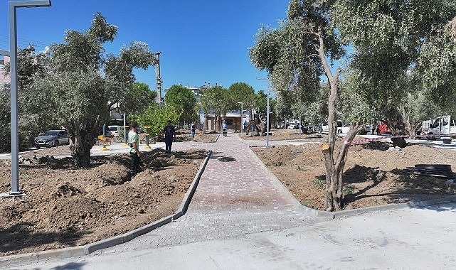 Didim Zeytin Park: Doğal Doku İçinde Yeni Sosyal Yaşam Alanı