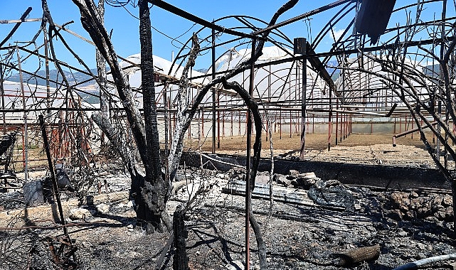 Kaş Yangını Sonrası Dayanışma ve Hasar Tespit Çalışmaları