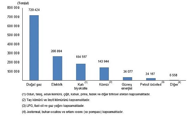 Hanehalkı Nihai Enerji Tüketim İstatistikleri 2025 Açıklandı